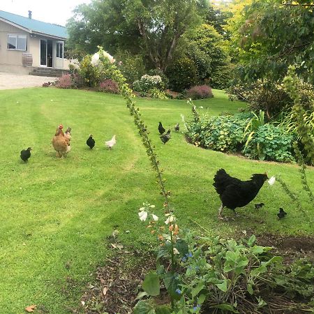 Southland Organic Farmstay Invercargill Exterior photo