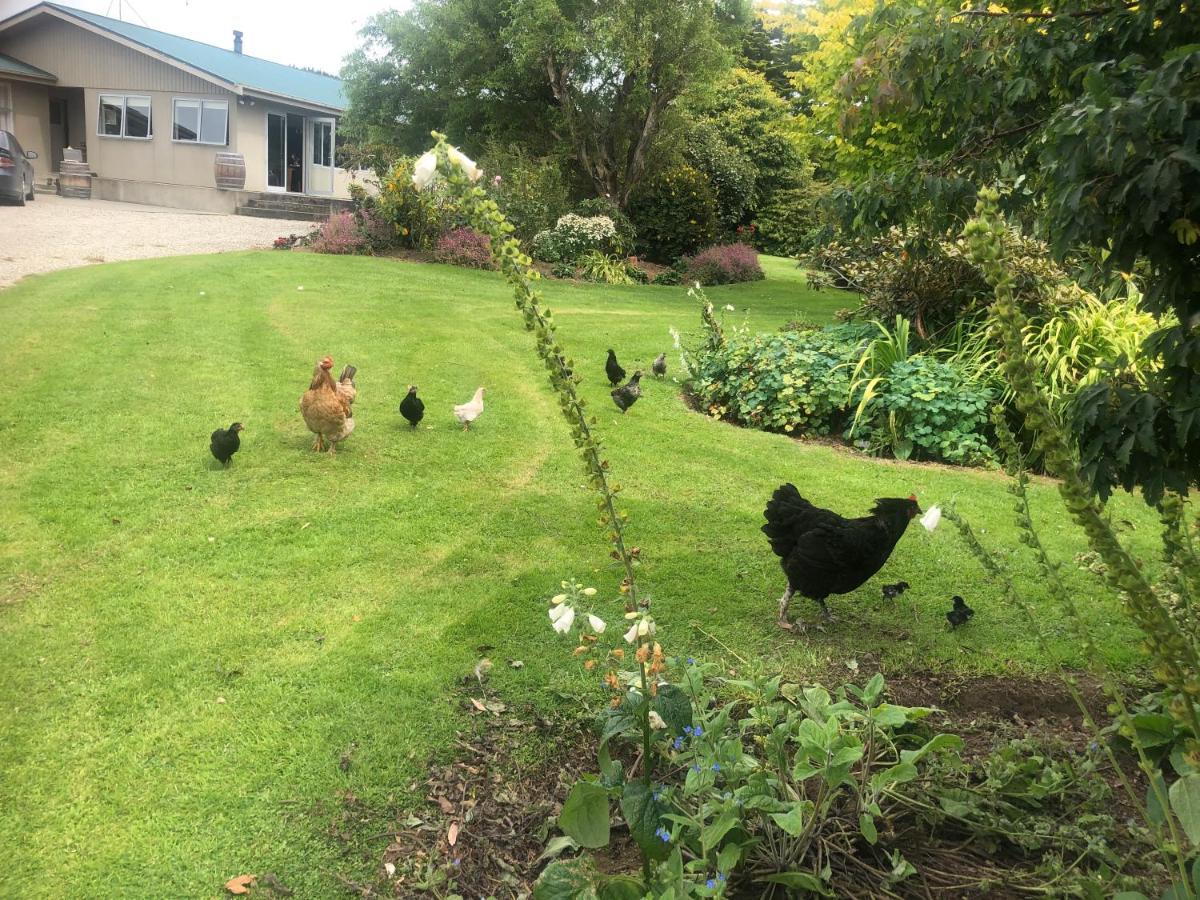 Southland Organic Farmstay Invercargill Exterior photo